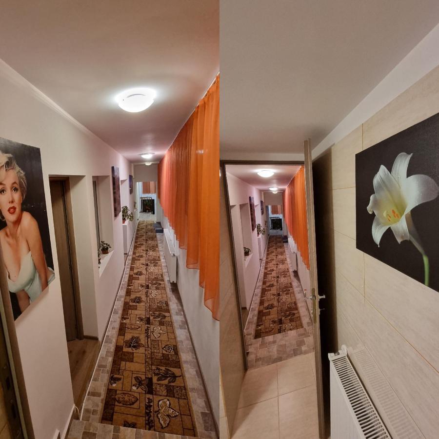 Villa Roca House Brașov Exterior foto